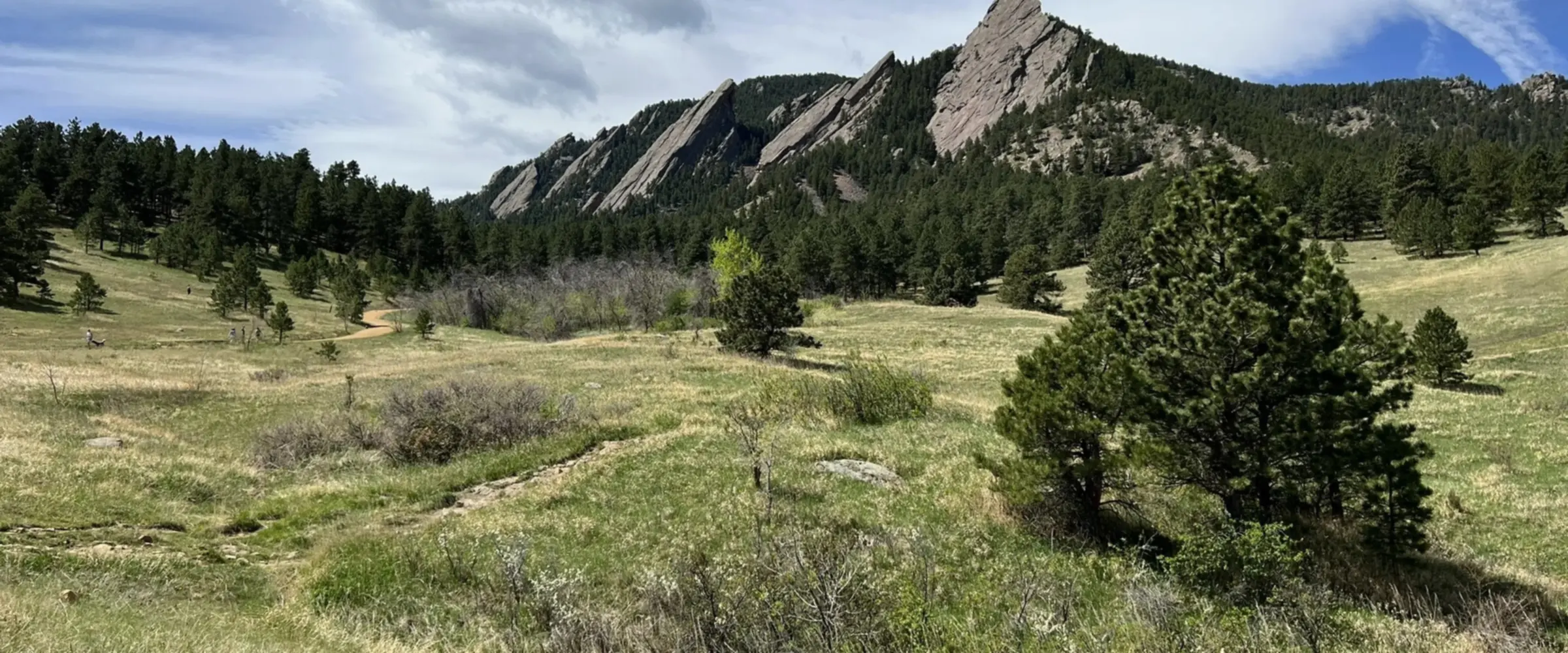 Boulder area landscape
